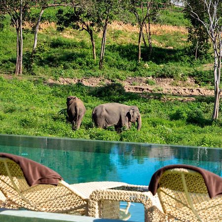 Amphoe Koksamui Wild Cottages Elephant Sanctuary Resort מראה חיצוני תמונה