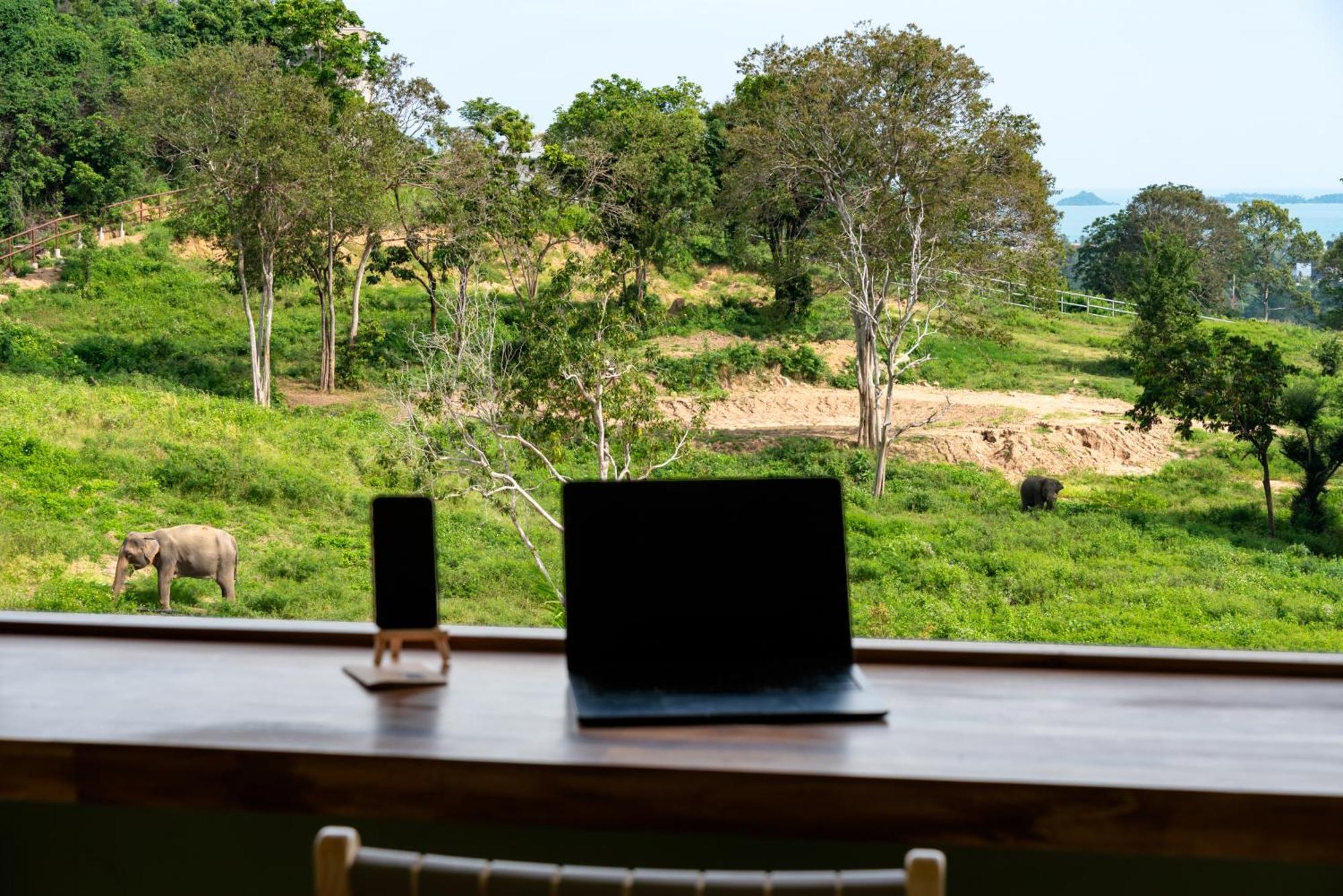 Amphoe Koksamui Wild Cottages Elephant Sanctuary Resort מראה חיצוני תמונה