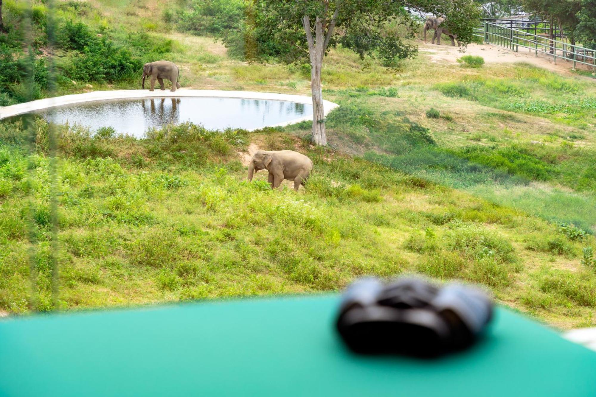 Amphoe Koksamui Wild Cottages Elephant Sanctuary Resort מראה חיצוני תמונה