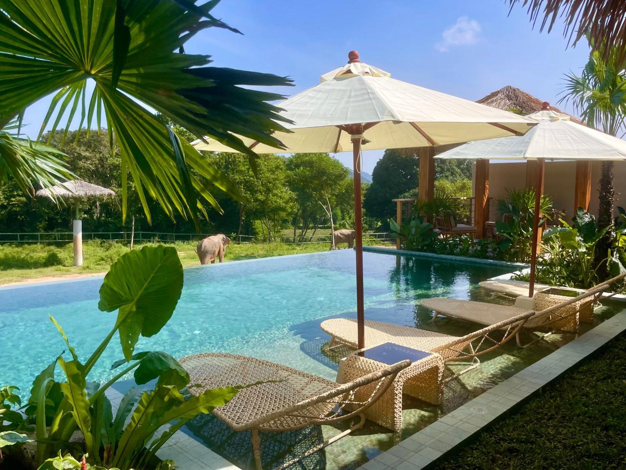 Amphoe Koksamui Wild Cottages Elephant Sanctuary Resort מראה חיצוני תמונה