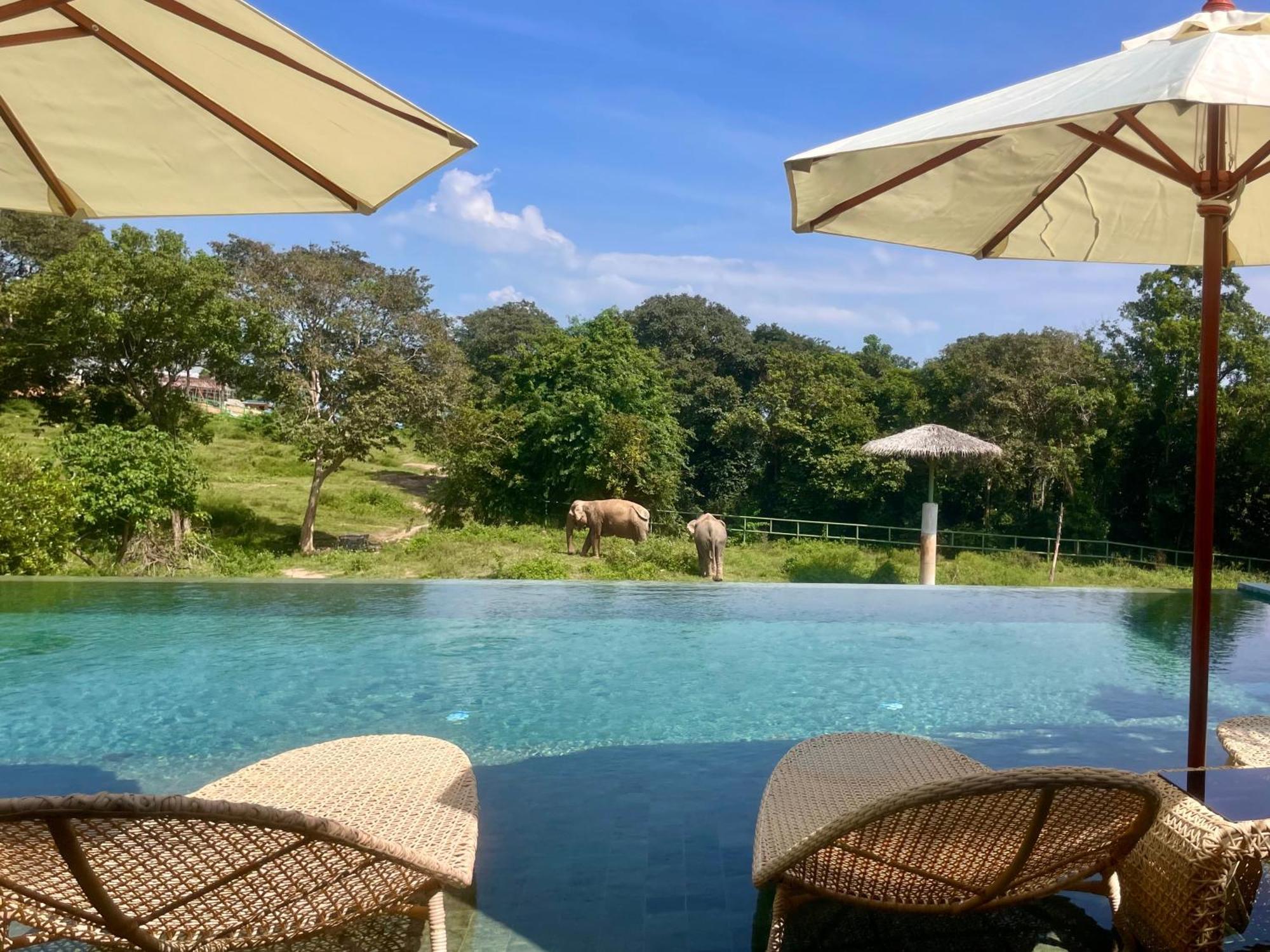 Amphoe Koksamui Wild Cottages Elephant Sanctuary Resort מראה חיצוני תמונה