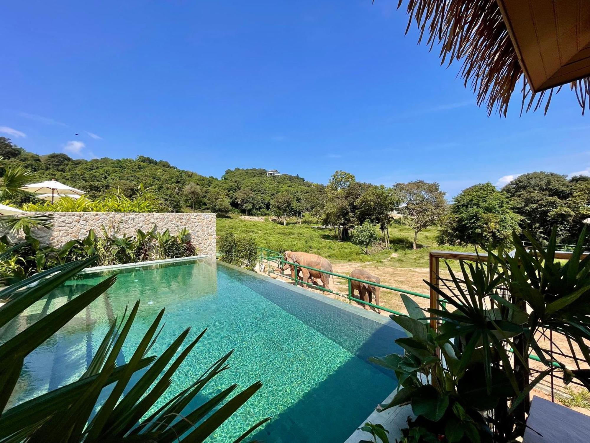 Amphoe Koksamui Wild Cottages Elephant Sanctuary Resort מראה חיצוני תמונה