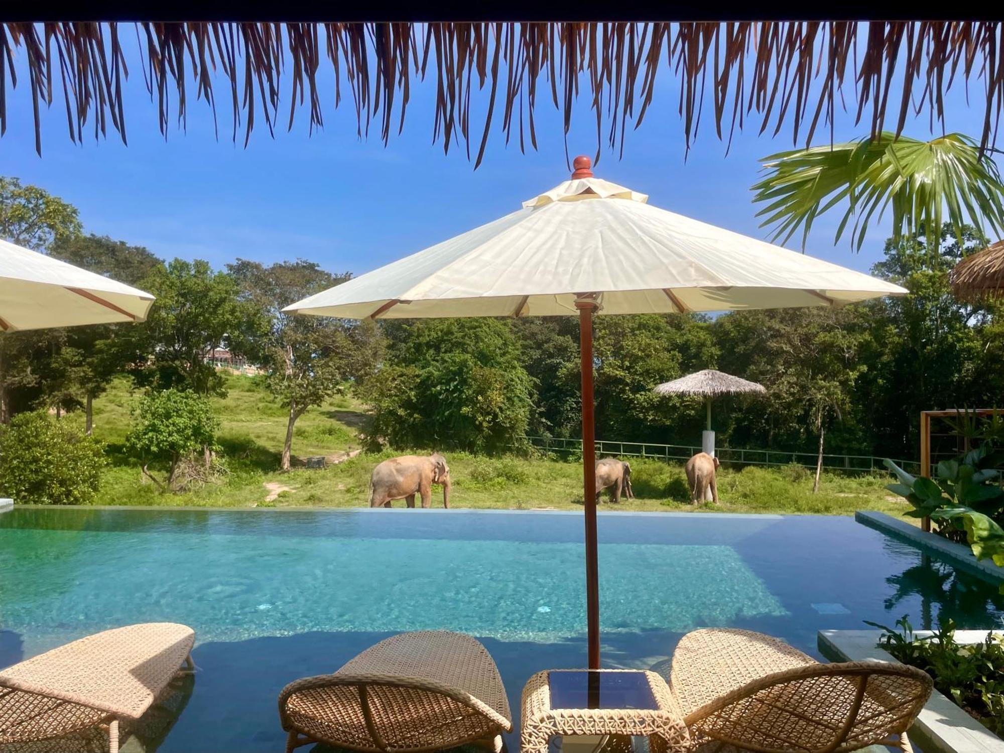 Amphoe Koksamui Wild Cottages Elephant Sanctuary Resort מראה חיצוני תמונה