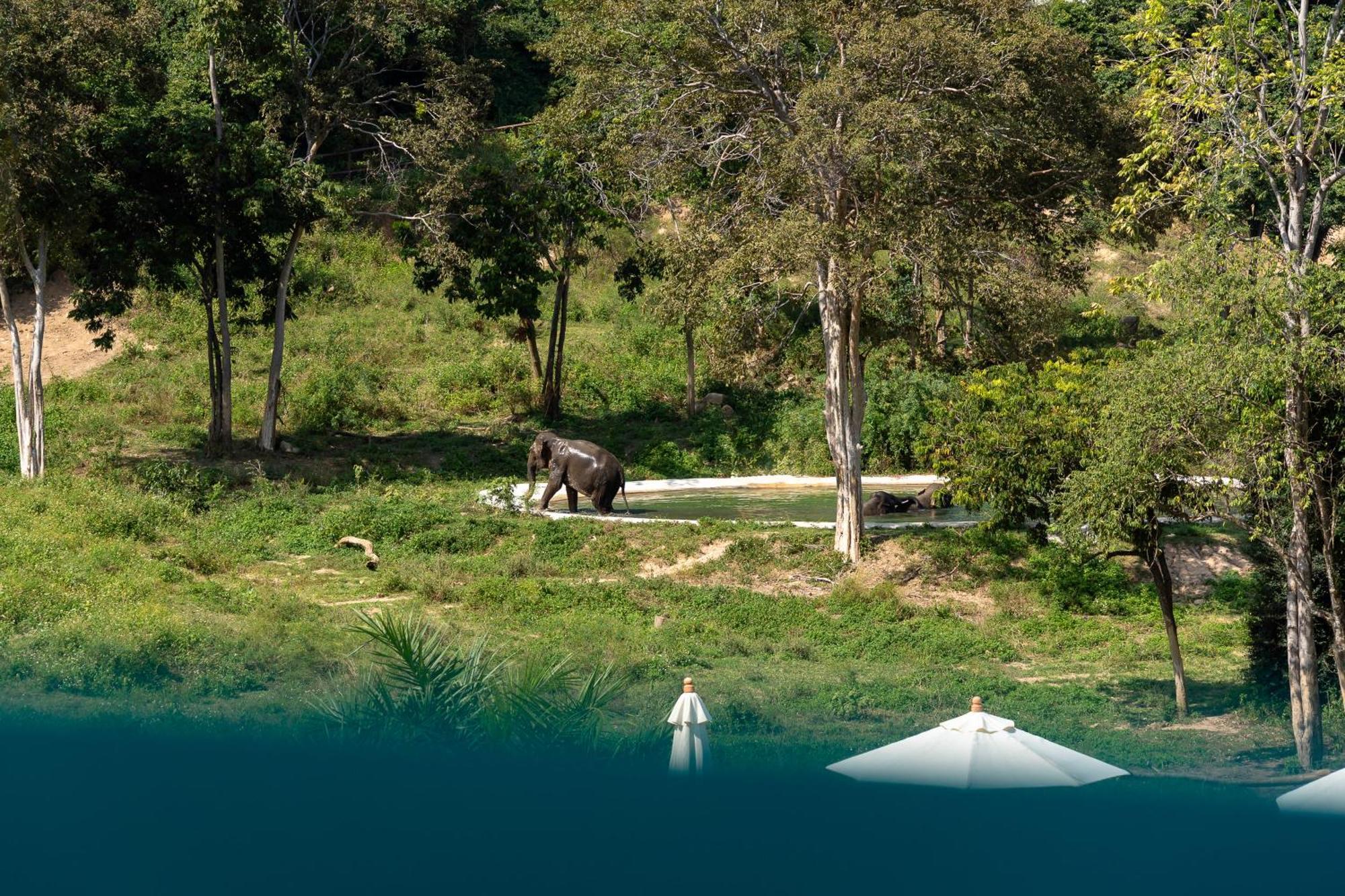 Amphoe Koksamui Wild Cottages Elephant Sanctuary Resort מראה חיצוני תמונה